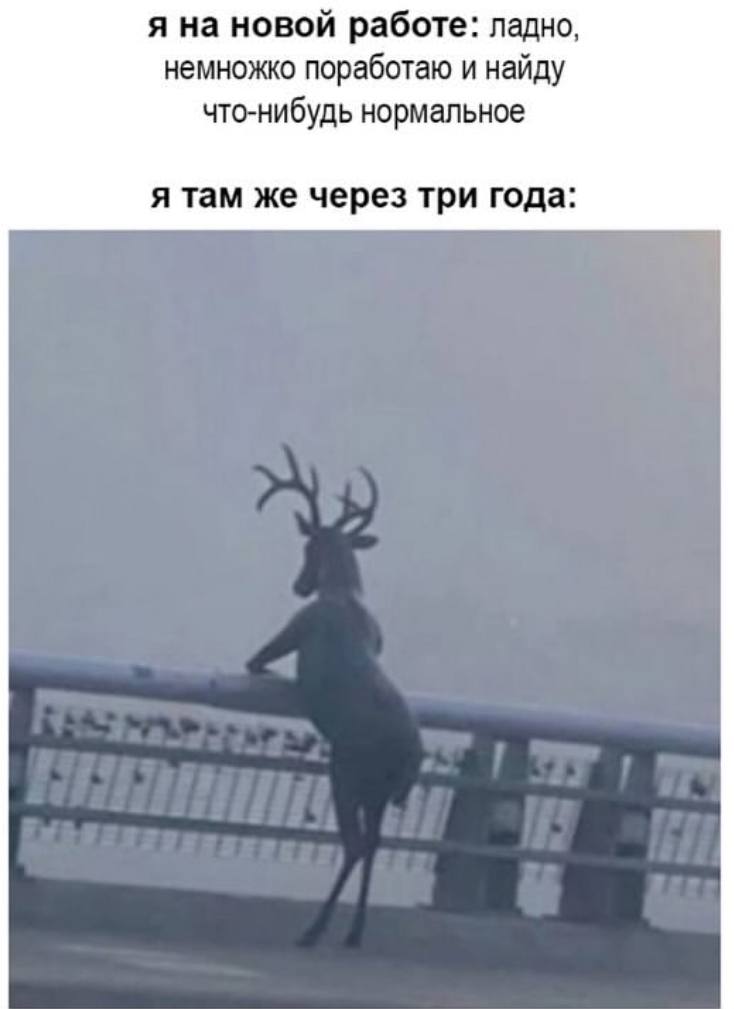 я на новой работе: ладно, немножко поработаю и найду что-нибудь нормальное я там же через три года: