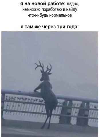 я на новой работе: ладно, немножко поработаю и найду что-нибудь нормальное я там же через три года: