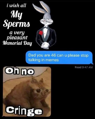 i wish all A My 4 avery у pleasant Memorial Day Dad you are 46 can и please stop talking in memes Onno Cringe