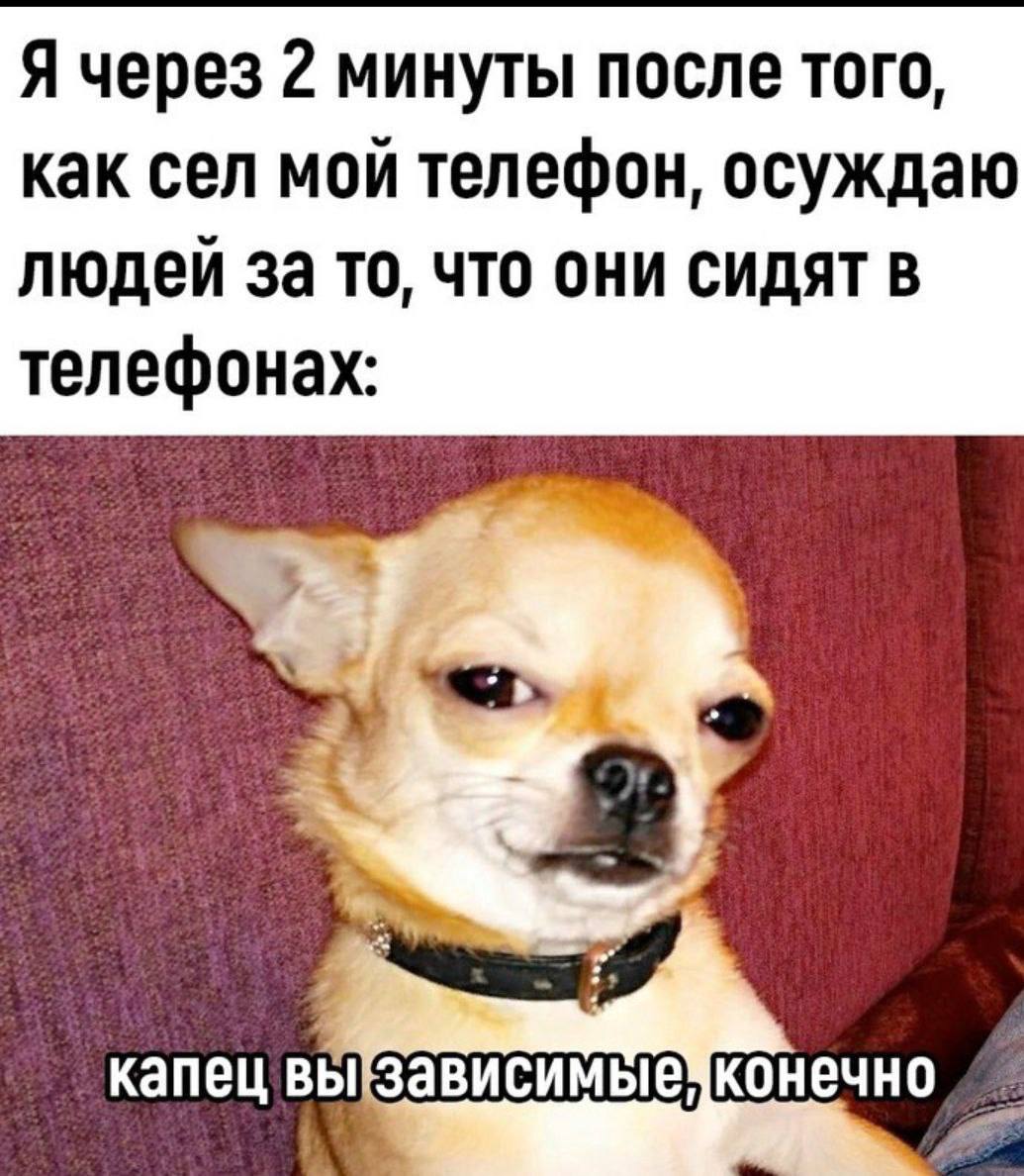 Я через 2 минуты после того, как сел мой телефон, осуждаю людей 3a TO, ЧТО ОНИ СИДЯТ В телефонах: капец вы конечно