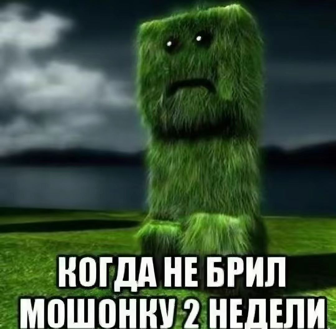 КОГДА НЕ БРИЛ МОШОНКУ 2 НЕДЕЛИ
