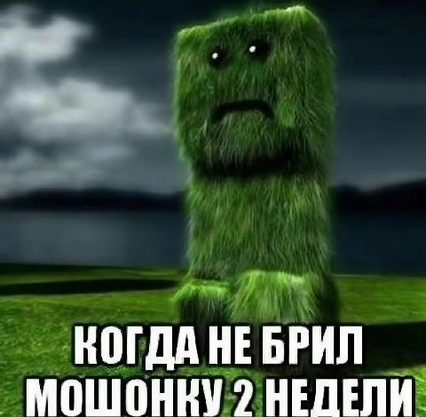 КОГДА НЕ БРИЛ МОШОНКУ 2 НЕДЕЛИ