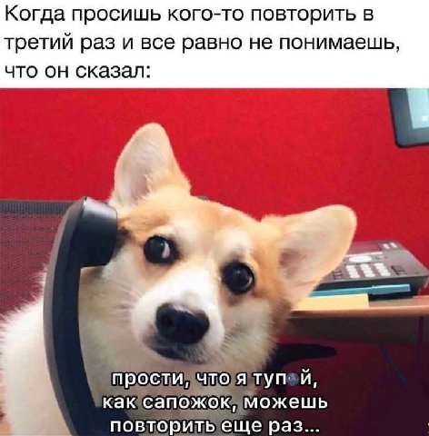 Когда просишь кого-то повторить в третий раз и все равно не понимаешь, что он Сказал: is прости, тупеи, можешь раз...