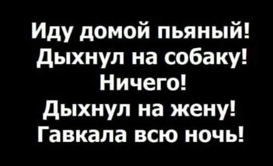 Иду домой пьяный! Дыхнул на собаку! Ничего! Дыхнул на жену! Гавкала всю ночь!