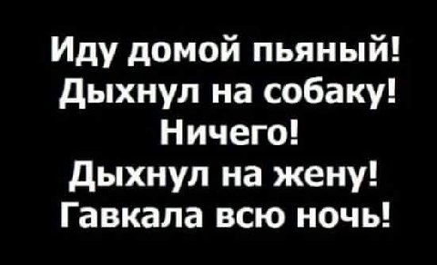 Иду домой пьяный! Дыхнул на собаку! Ничего! Дыхнул на жену! Гавкала всю ночь!