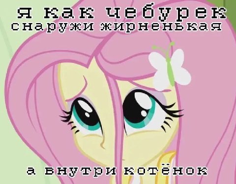 я снаружи жирненькая а внутри котенок