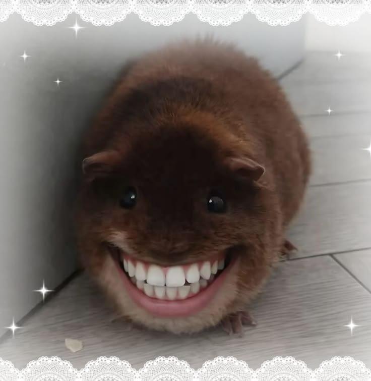 бля кто