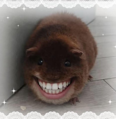 бля кто