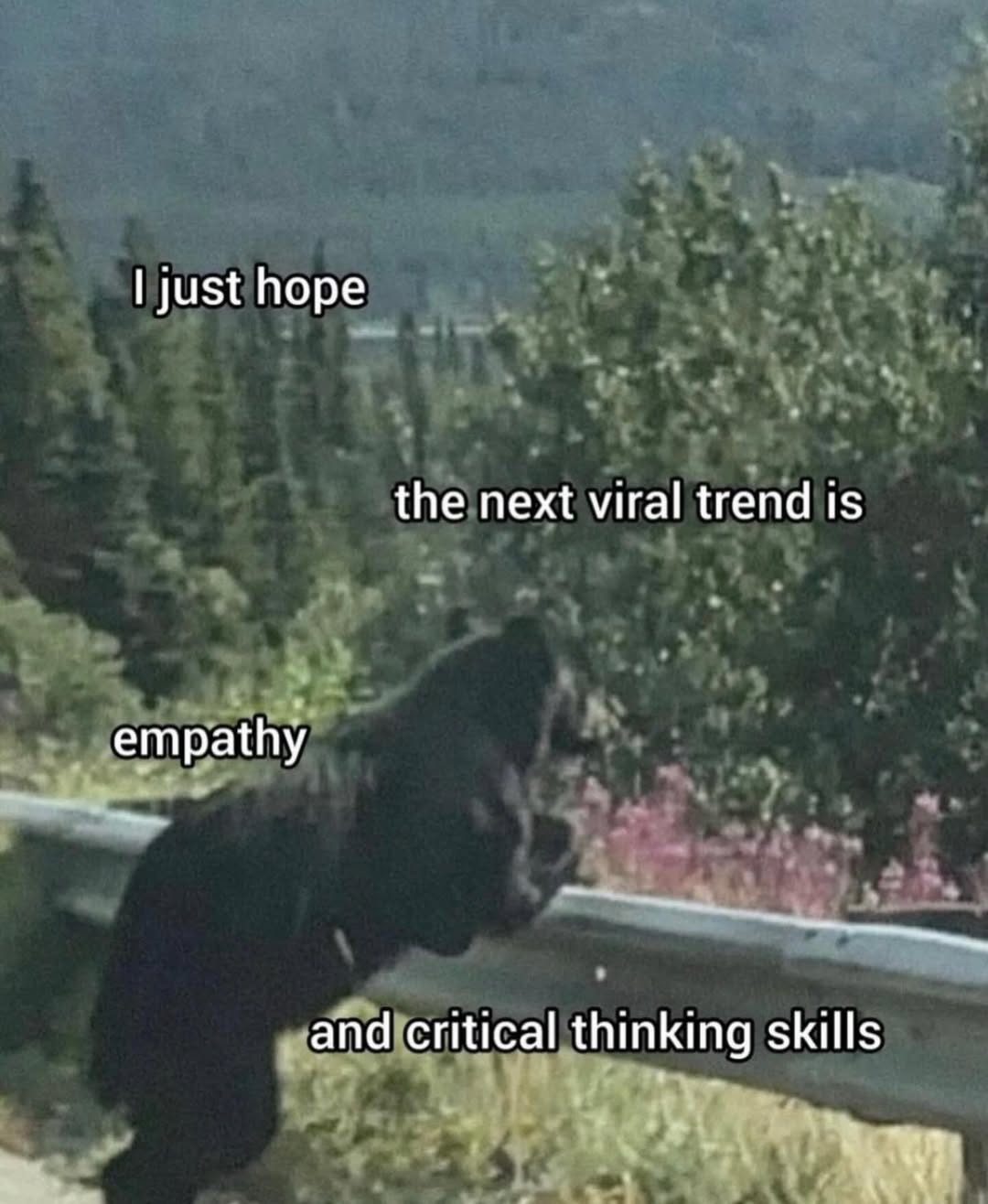 just hope the next viral trend is empathy and critical thinking skills у