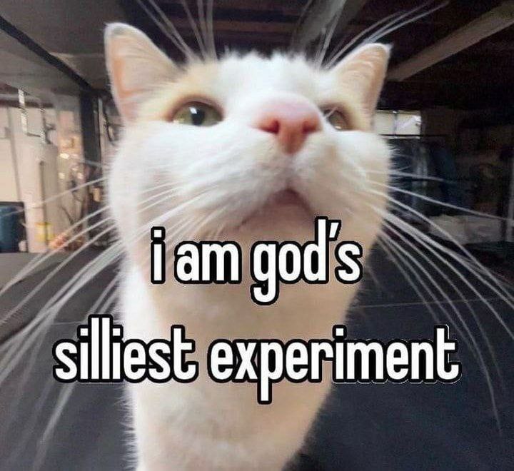 god's experiment