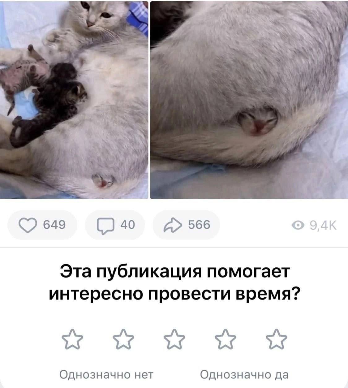 649 566 Эта публикация помогает интересно провести время? Однозначно нет Однозначно да