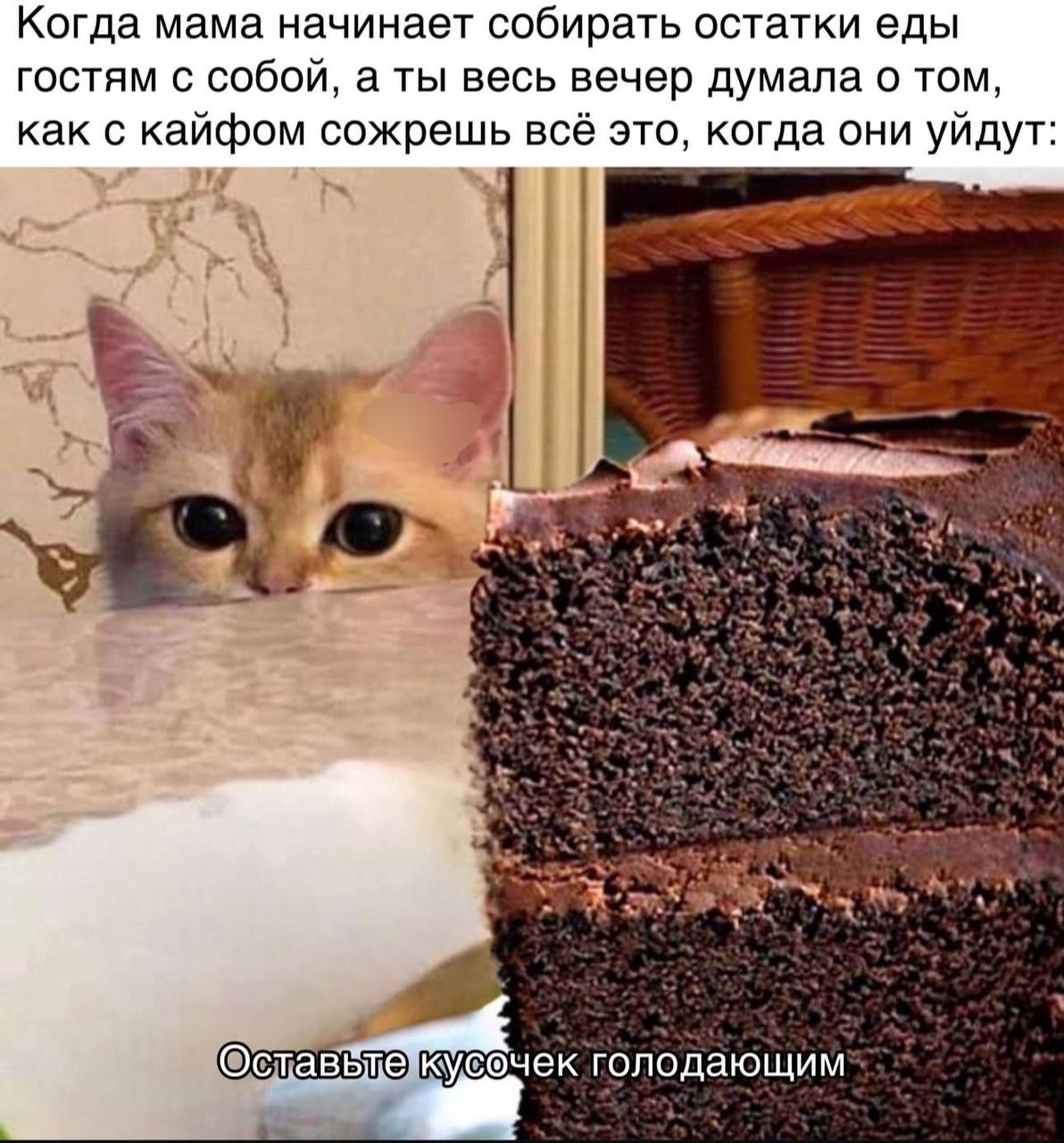 Когда мама начинает собирать остатки еды гостям с собой, а ты весь вечер думала о том, как с кайфом сожрешь всё это, когда они уйдут: кусочек голодающим“