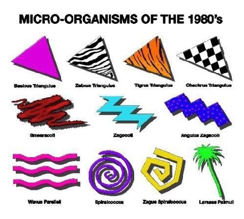 MICRO-ORGANISMS OF THE Zebrue Zagocoll Angulus Zague