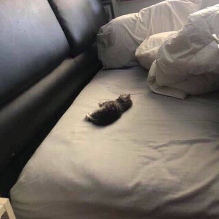 В A