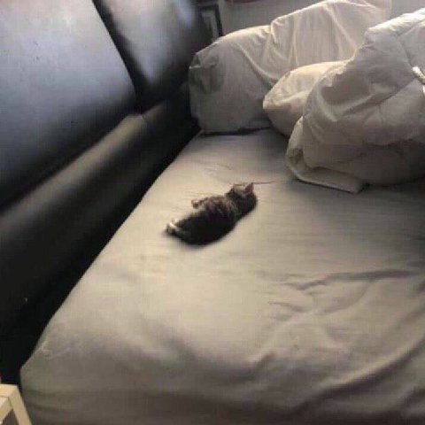 В A