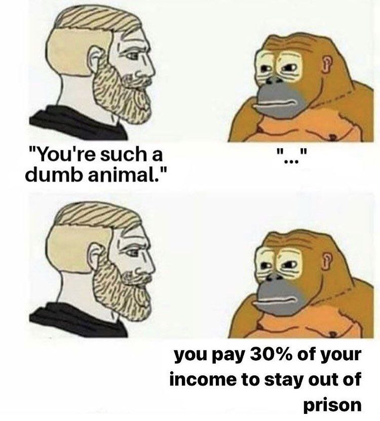 "You're sucha dumb animal." you pay 30% of your income to stay out of prison