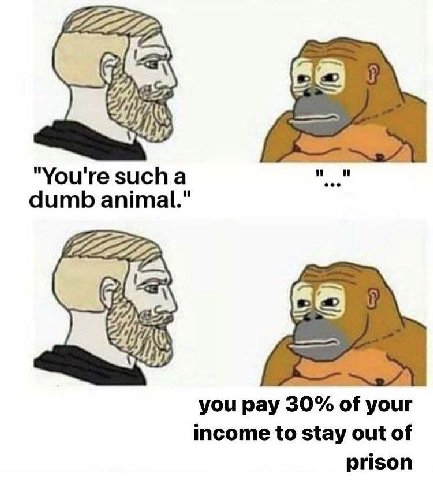 "You're sucha dumb animal." you pay 30% of your income to stay out of prison