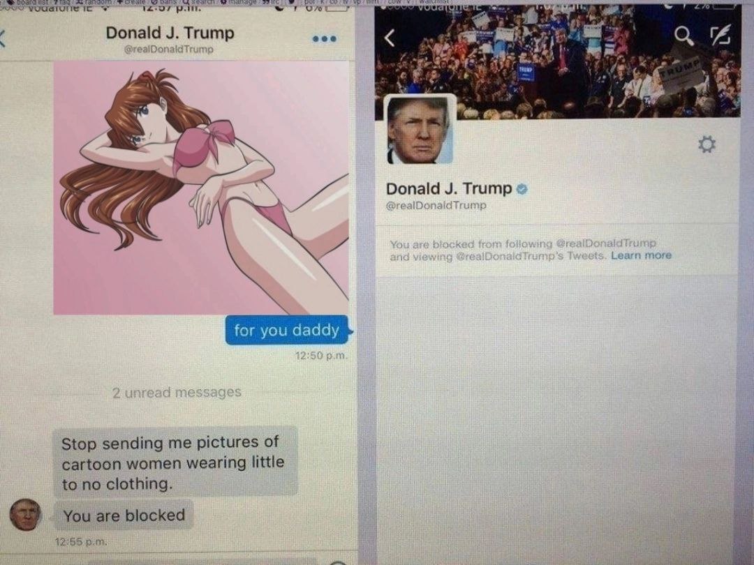 7 276 Donald Trump i che a а а a Donald Trump ealD for you daddy Stop sending me pictures of cartoon women wearing little to no clothing. You are blocked