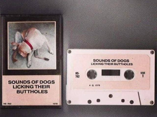 SOUNDS OF DOGS LICKING THEIR BUTTHOLES SOUNDS OF DOGS 1978 LICKING THEIR BUTTHOLES ora
