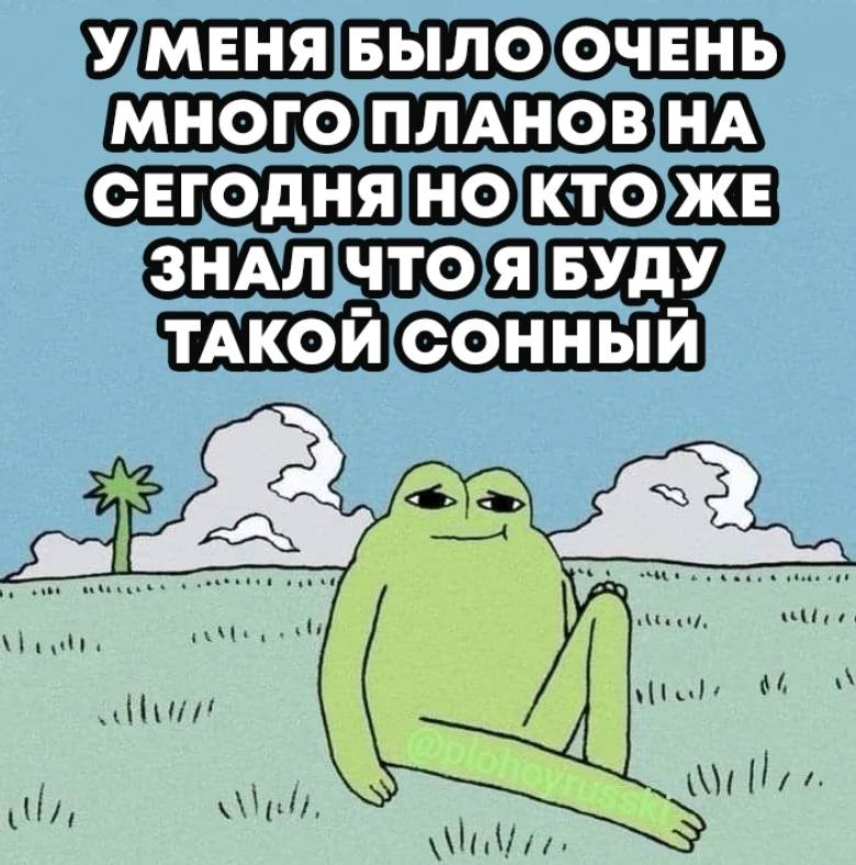 У МЕНЯ БЫЛО ОЧЕНЬ МНОГО ПЛАНОВ НА СЕГОДНЯ НО КТО ЖЕ ЗНАЛ ЧТО Я БУДУ ТАКОЙ СОННЫЙ