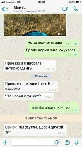atl Билайн 20:56 53 С A 1 16:09 Че за волчьи ягоды Вроде нормально, очухался) Приезжай я набрала антиоксиданты Сегодня Пришли последний хит. Всё надоело Что народ слушает? ботинки начистил 1 НЕПРОЧИТА