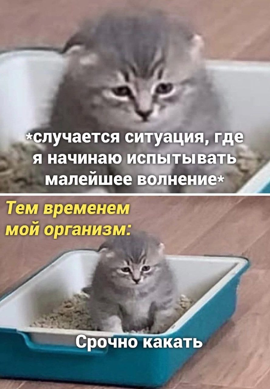 случается ситуация, где я начинаю испыты вать: малеишее волнение*х Тем временем мой организм: я Срочно какать lll