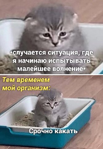 случается ситуация, где я начинаю испыты вать: малеишее волнение*х Тем временем мой организм: я Срочно какать lll