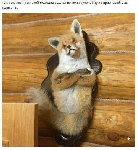 так, так, так, ну и какой молодец сделал из меня чучело? ну-ка признавайтесь, хулиганы. {I