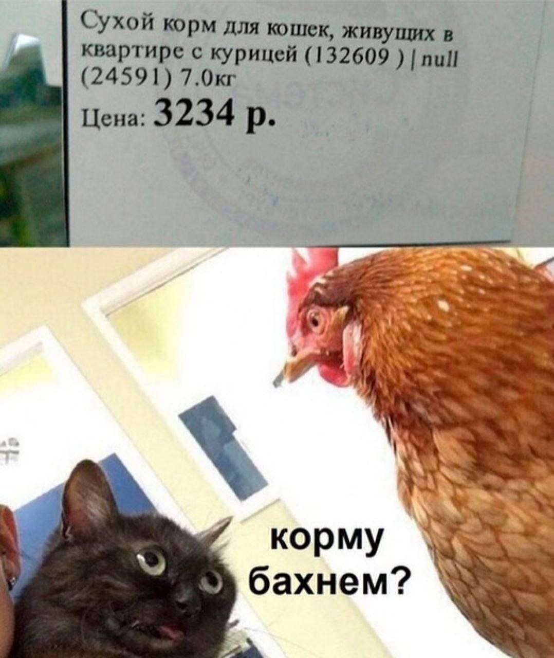 Сухой корм для кошек, живущих в квартире с курицей (132609 null (24591) Цена: 3234 корму бахнем?