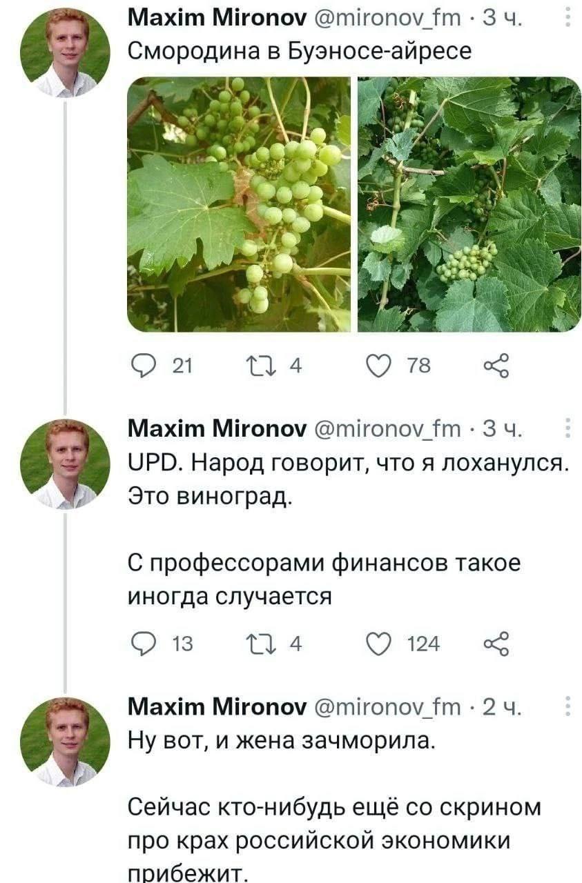 Maxim Mironov @mironov_fm Смородина в Буэносе-айресе 7%. a Sask С 4 78 Maxim Mironov @mironov_fm UPD. Народ говорит, что я лоханулся. Это виноград. С профессорами финансов такое иногда случается С) 13