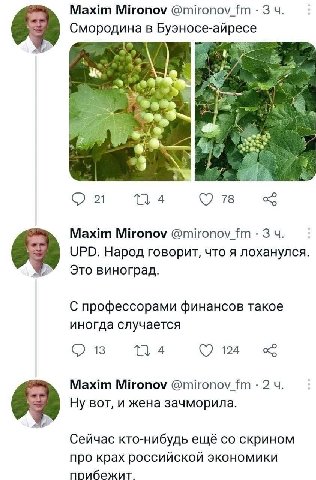 Maxim Mironov @mironov_fm Смородина в Буэносе-айресе 7%. a Sask С 4 78 Maxim Mironov @mironov_fm UPD. Народ говорит, что я лоханулся. Это виноград. С профессорами финансов такое иногда случается С) 13