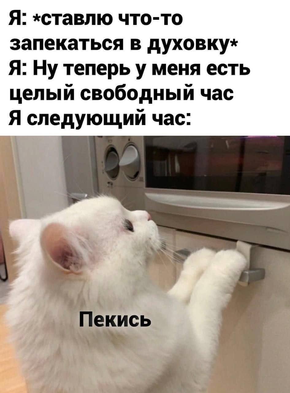 Я: «ставлю что-то запекаться в духовку* Я: Ну теперь у меня есть целый свободный час Я следующий час: a Пекись