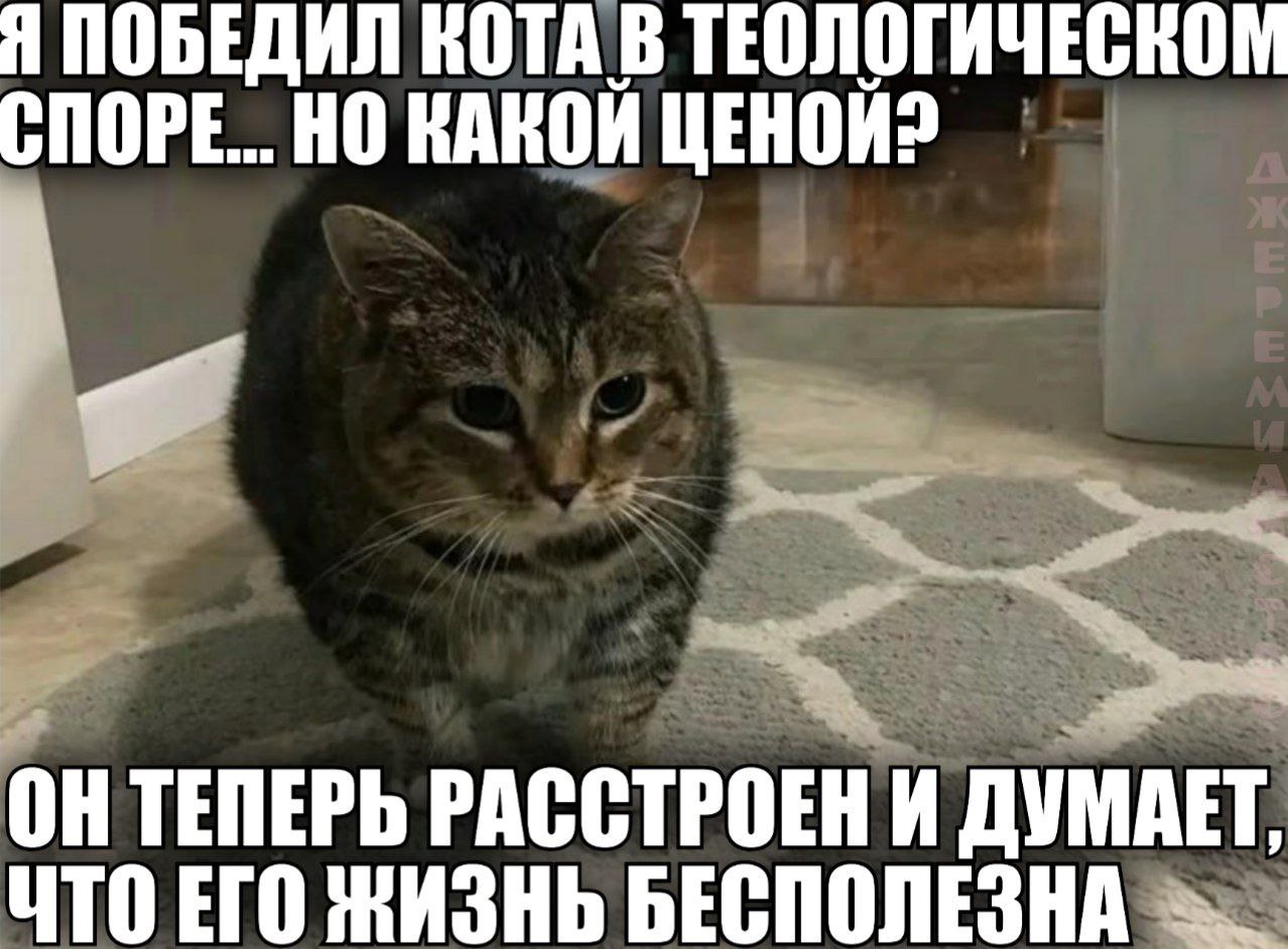 Я ПОБЕДИЛ КОТА В ТЕОЛОГИЧЕСКОМ СПОРЕ... НО КАКОЙ ОНТЕПЕРЬ РАССТРОЕНИ ДУМАЕТ, ЧТО ЕГО ЖИЗНЬ БЕСПОЛЕЗНА