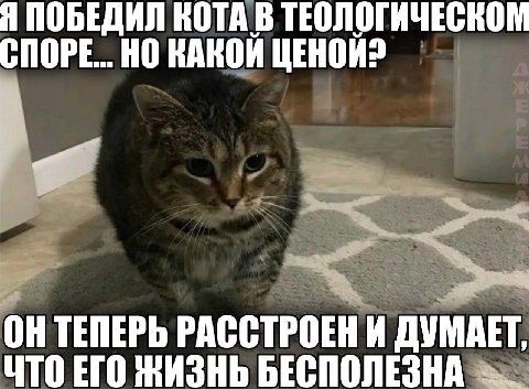 Я ПОБЕДИЛ КОТА В ТЕОЛОГИЧЕСКОМ СПОРЕ... НО КАКОЙ ОНТЕПЕРЬ РАССТРОЕНИ ДУМАЕТ, ЧТО ЕГО ЖИЗНЬ БЕСПОЛЕЗНА