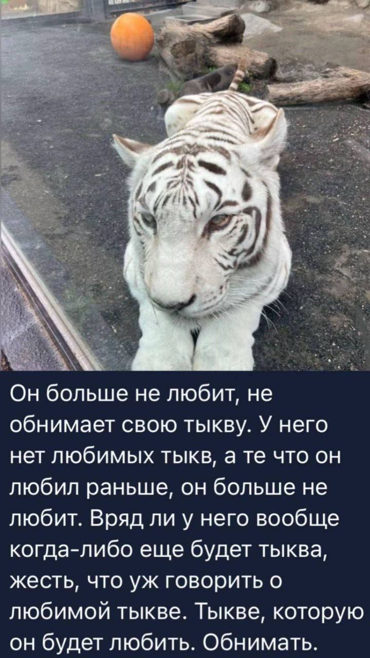 ПИЗДЕЦ.