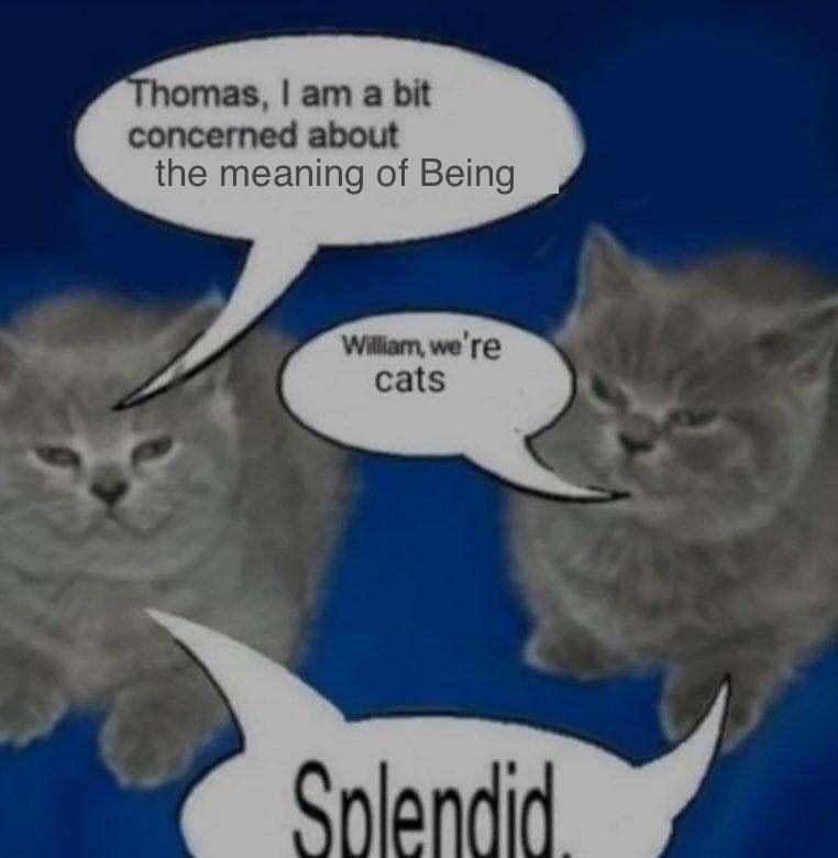 omas, а bit concerned about the meaning of Being we're cats