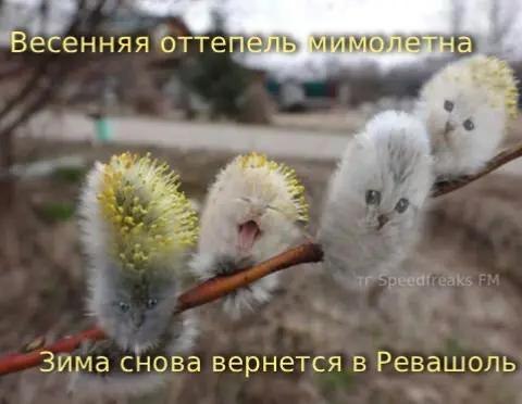 Весенняя оттеп Зима снова вернется в Ревашоль