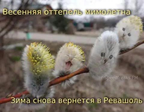 Весенняя оттеп Зима снова вернется в Ревашоль