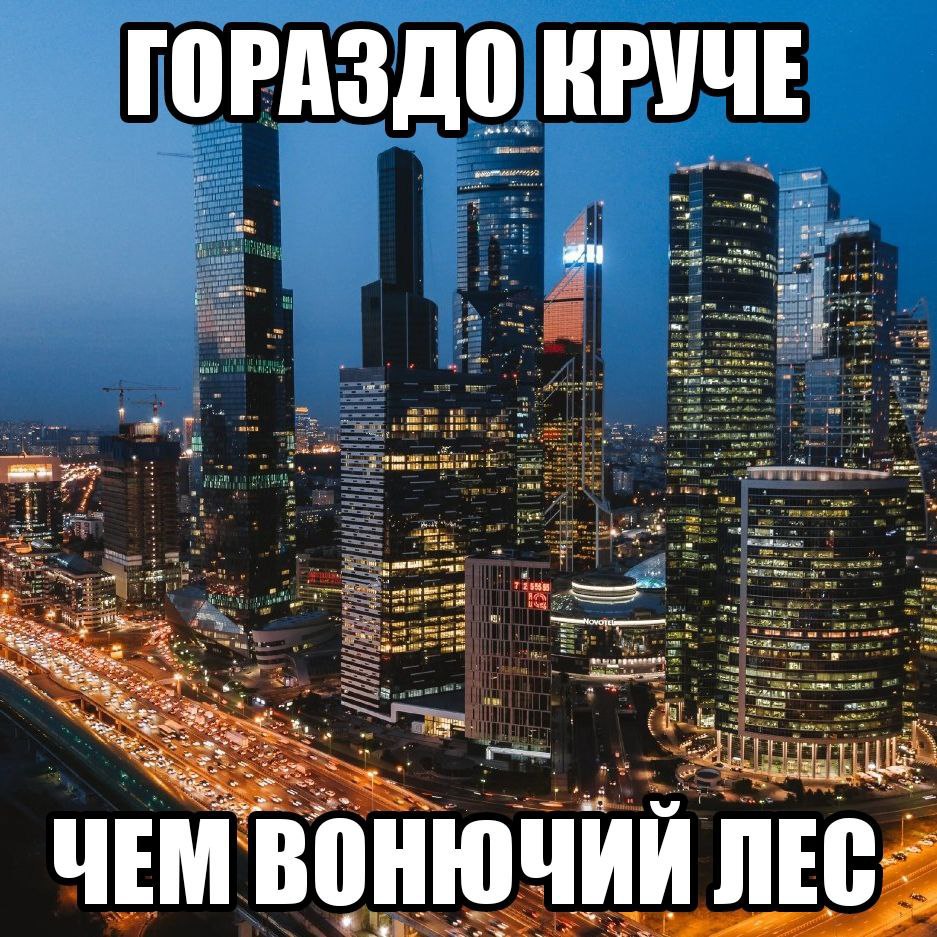ГОРАЗДО КРУЧЕ a ЧЕМ ЛЕС