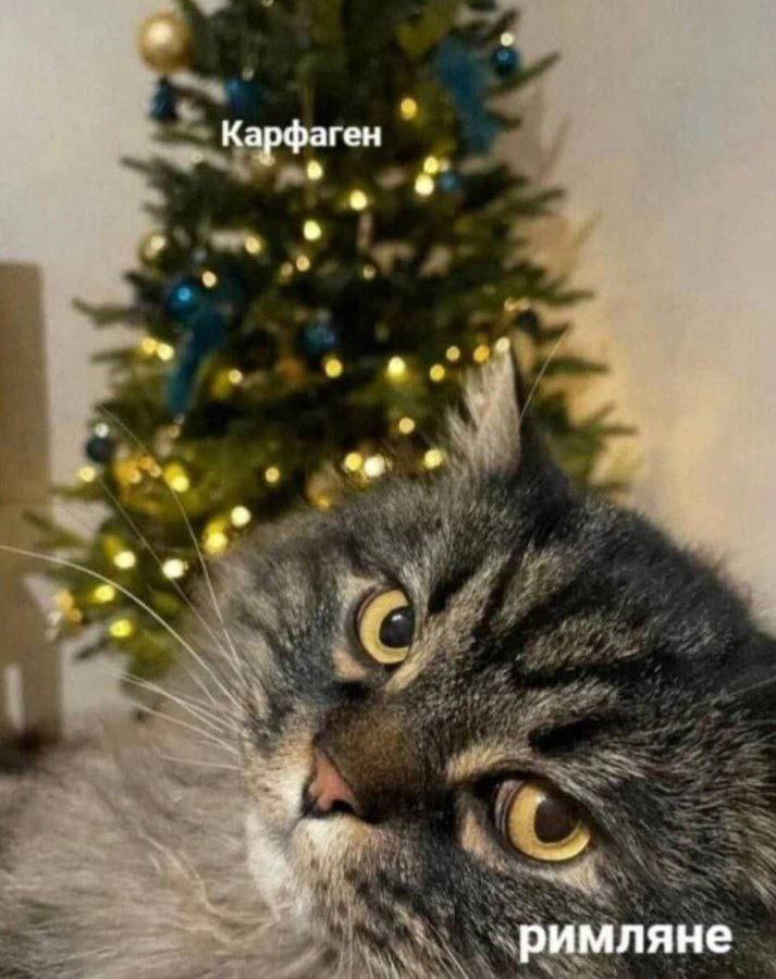 Карфаген римляне