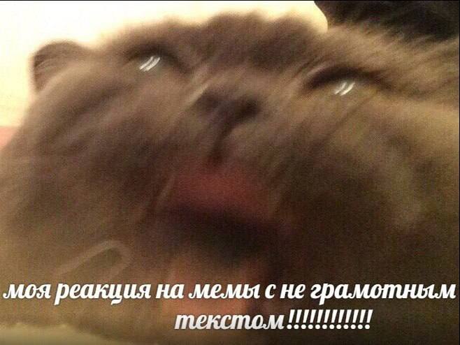 ‚моя реакция на мемы с не грамотным текстом