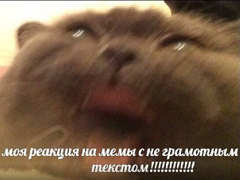 ‚моя реакция на мемы с не грамотным текстом