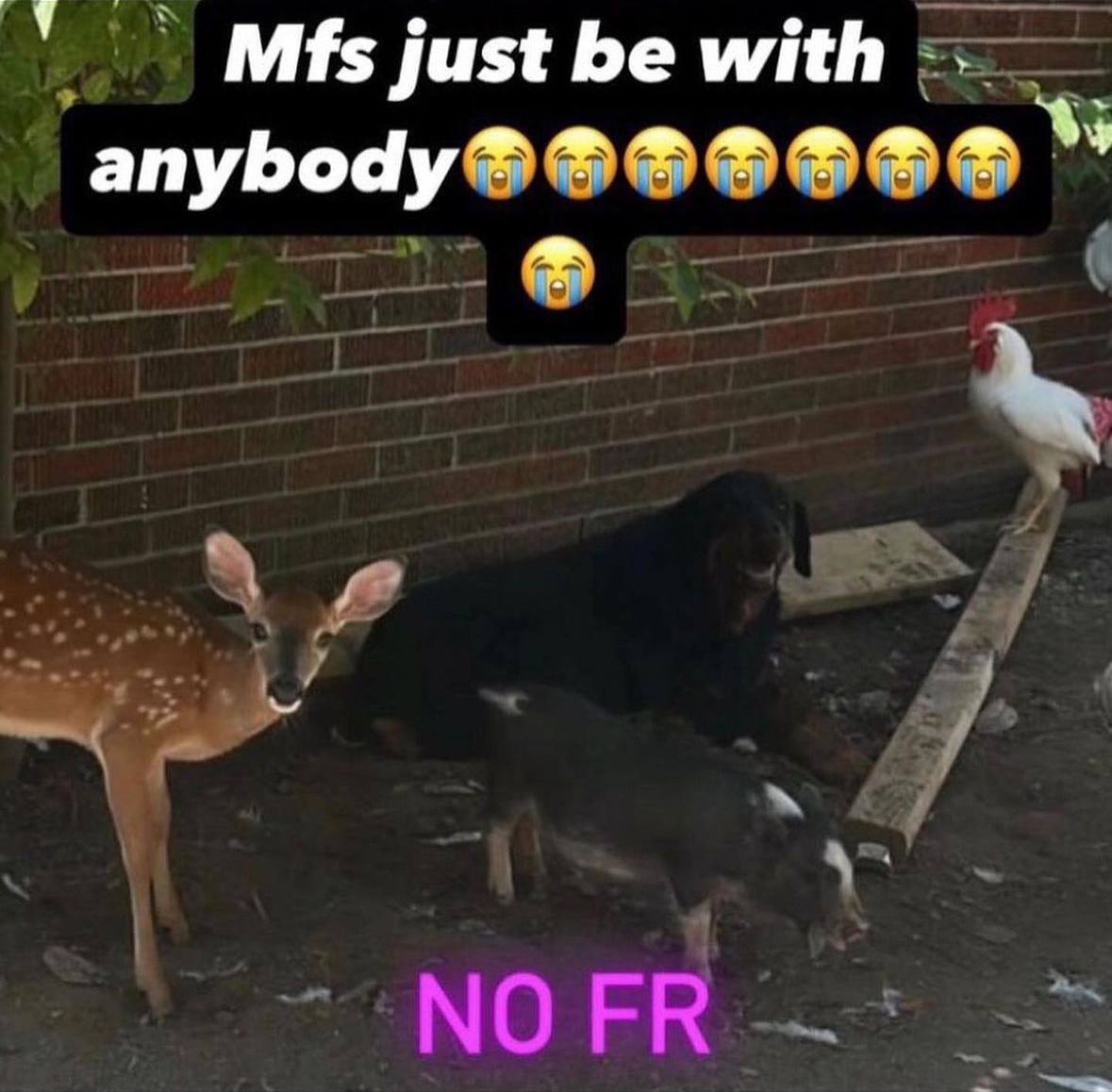 Mfs just with апуБоау