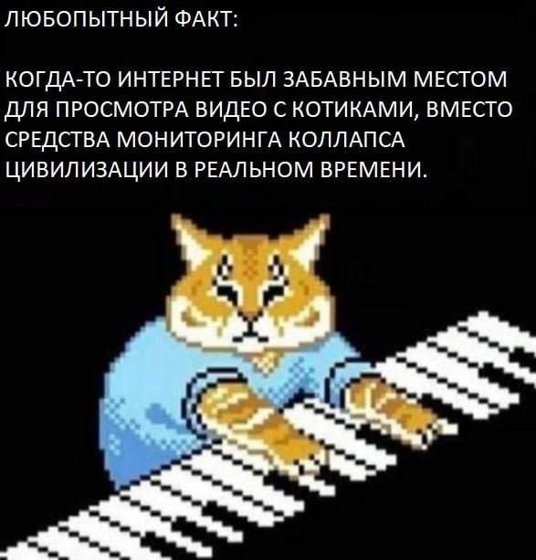 ЛЮБОПЫТНЫЙ ФАКТ: КОГДА-ТО ИНТЕРНЕТ БЫЛ ЗАБАВНЫМ МЕСТОМ ДЛЯ ПРОСМОТРА ВИДЕО С КОТИКАМИ, ВМЕСТО СРЕДСТВА МОНИТОРИНГА КОЛЛАПСА ЦИВИЛИЗАЦИИ В РЕАЛЬНОМ ВРЕМЕНИ.