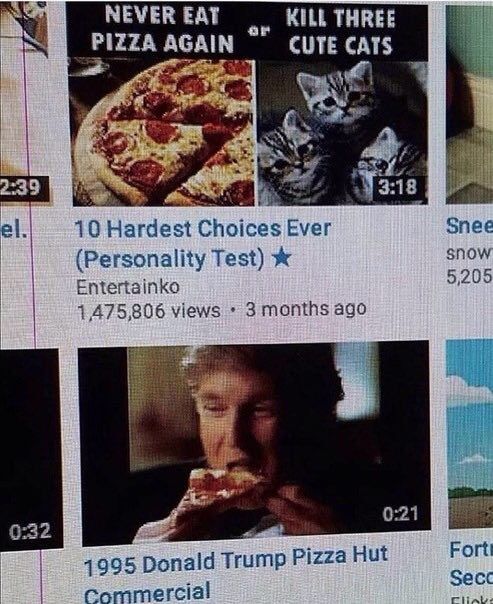 NEVER EAT MULL THREE PIZZA AGAIN CUTE CATS a 10 Hardest Choices Ever Snee (Personality Test) snow Entertainko 5,205 4,475,806 views 3 months ago 0:32 4995 Donald Trump Pizza Hut Fort