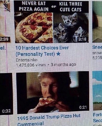 NEVER EAT MULL THREE PIZZA AGAIN CUTE CATS a 10 Hardest Choices Ever Snee (Personality Test) snow Entertainko 5,205 4,475,806 views 3 months ago 0:32 4995 Donald Trump Pizza Hut Fort