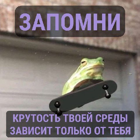 ТВОЕЙ СРЕДЫ ЗАВИСИТ ТОЛЬКО ОТ ТЕБЯ