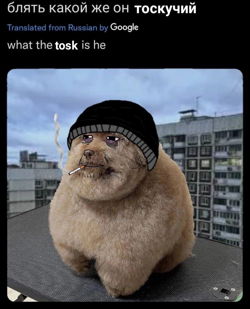блять какой же он тоскучий Translated from Russian Google what the tosk is he ‘a 4
