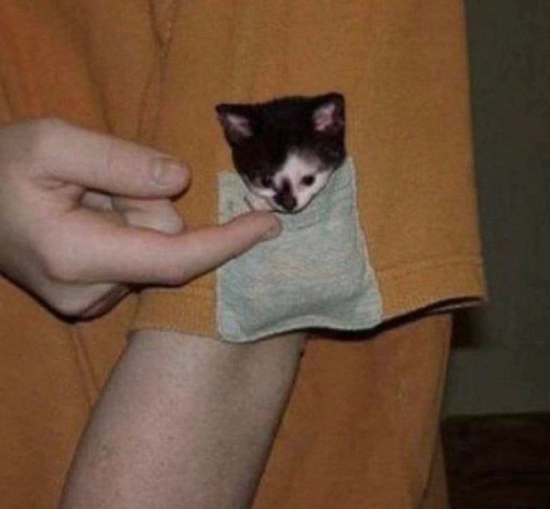 у