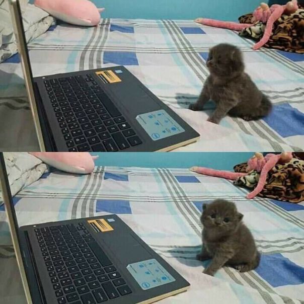 у 2 у